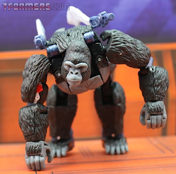 Transformers Kingdom Wave 1 Optimus Primal  (20 of 55)